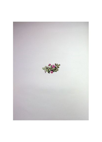 Книга (9786171704756) Vivat Велика книга про фей і принцес - Пітер Холейнон (366645333)