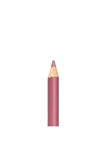 Олівець для губ BG500 Lip Liner № 023 Chestnut Autumn Bogenia (364465888)