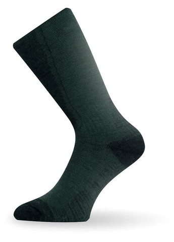 Комбіновані шкарпетки asting wsm зелений Lasting (356731993)