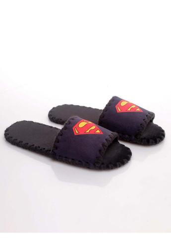 Синие домашние тапочки Family Story