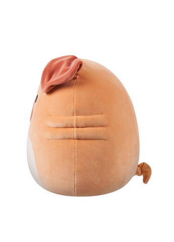 М'яка іграшка Шарпей Мортон (30 cm) Squishmallows (342123071)