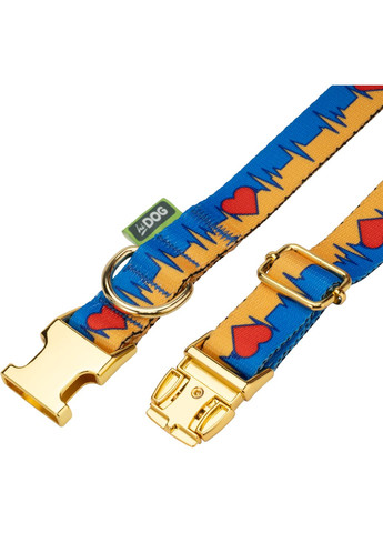 Ошейник Жизнь размер S ширина 16 мм 25 - 33 см с фастексом Золото (2100103591011) Hi Dog (332880155)