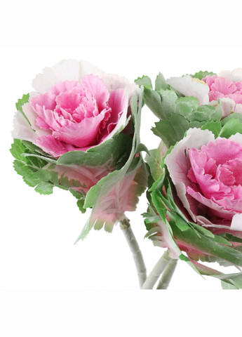 Брасика "Грация", розовая ELISEY (322248836)