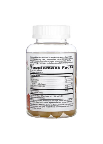 Для підтримки роботи мозку у дітей Brain Builder Gummy - 60 ct Nature's Way (337512043)