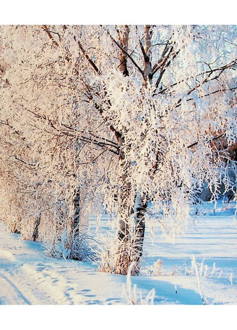 Иисус приглашает на Рождество Свічадо (370058449)