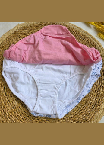 Набір дитячих трусів-сліп 4х ! для дівчаток Pepperts Трусики (341526658)