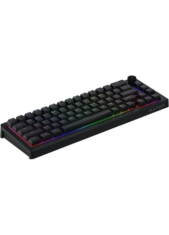 Клавиатура Skyfall 65 Black/Black (HTK1160UA) [158499] Hator (400981798)