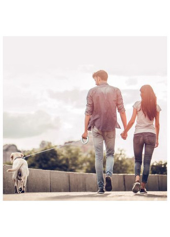 Повідок для собак м білий (812715) WAUDOG R-leash світловідбиваюча стрічка XS-M до 40 кг 2.9 (366522113)