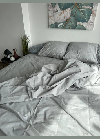 Двуспальный комплект Постельного белья 100% Хлопок Light Grey 180х220 BL2-3 Vital-Textile (295638262)