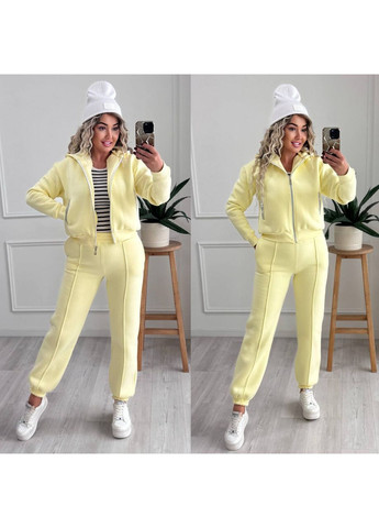 Костюм 006 дорога тринитка пенье Туреччина на флісі,штани та кофта на блискавці з капюшоном Україна (367930625)