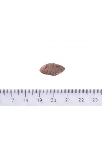 Сухий корм Dog Sustainable Sensitive для собак з чутливим травленням, з рибою та комахами, 1 кг Brit Care (336653049)