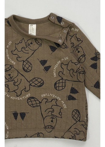 H&M свитшот рисунок хаки повседневный хлопок