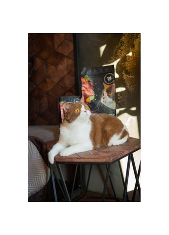 Сухой корм для кошек с чувствительным пищеварением, со свежим ягненком и индейкой, 2 кг Savory (349823271)