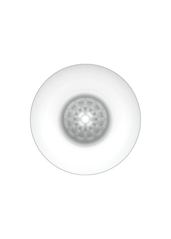 Мастурбатор-яйцо в бочонке Pretty Love "Bourbon charming barrel" LyBaile (314808210)