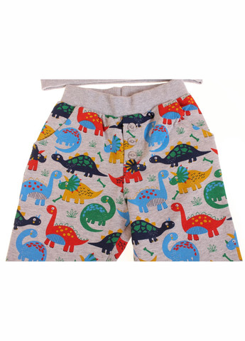 Сірий демісезонний футболка з довгим рукавом + брюки 15932 сірий меланжевий Breeze