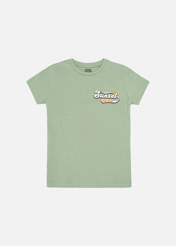 Оливковая летняя футболка с коротким рукавом для мальчика цвет оливковый цб-00246175 No Brand