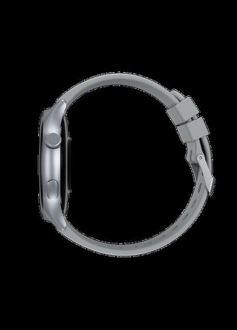 Smart Watch Quantum silver UA Proove (360400645)