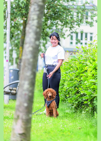 Диспенсер CityStyle з пакетами для фекалій 1 упаковка (15 пакетів) світло-сірий Trixie (306721585)