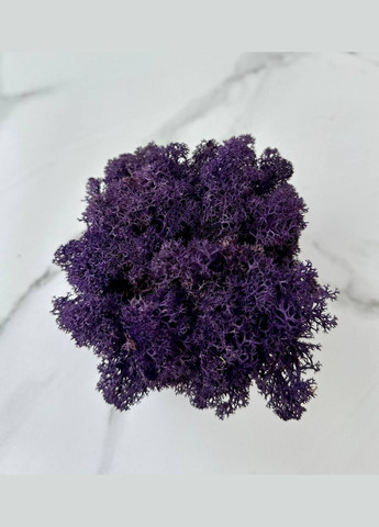 Стабілізований Норвезький Мох (Ягель) 500 р. – Purple No Brand (302520169)