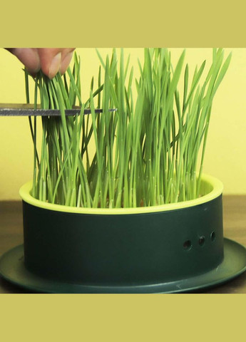 Лоток для гідропонного вирощування мікрозелені та розсади круглий темно-зелений з жовтою вставкою (NR0168_1) No Brand (303898377)