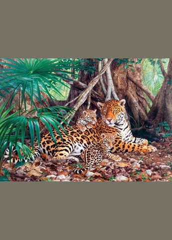 Пазл "Ягуары в джунглях", 3000 шт (C300280) Castorland (290841134)