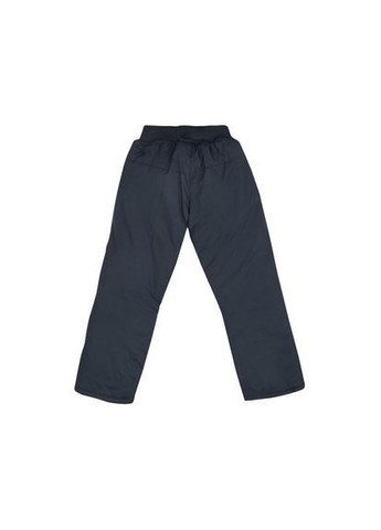 Синие повседневный зимние брюки F&D