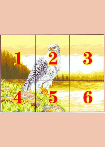 Набор для вышивания по нанесённой на канву схеме"Falcon".AIDA 14CT printed, 60*47 см Joy Sunday (313614536)