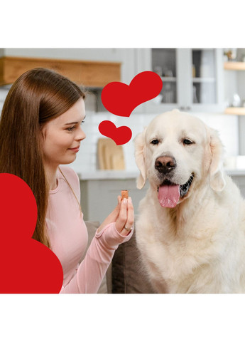 Сублімовані ласощі для собак Сублімоване філе міньон з яловичини та сушеними томатами 50 г Mavsy (353515464)