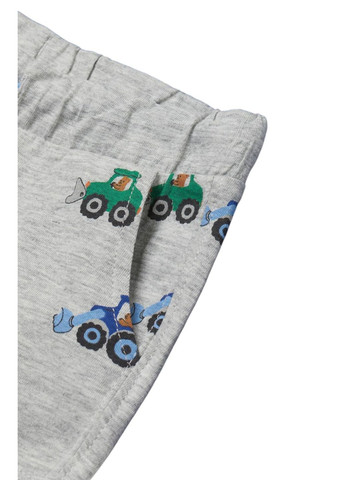 Шорти H&M (366843737)