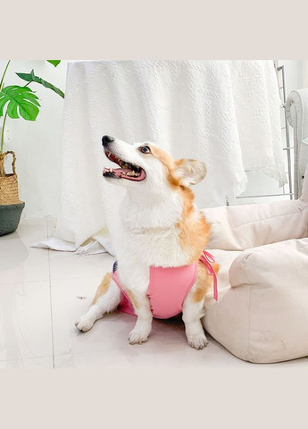 Труси-боді гігієнічні для собак синій із принтом вишень S No Brand (299839867)