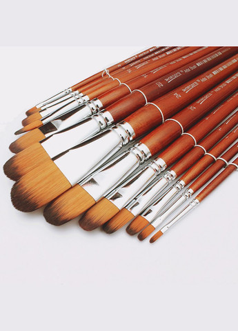 Набір професійних художніх пензликів " " 13 штук Worison (322650389)