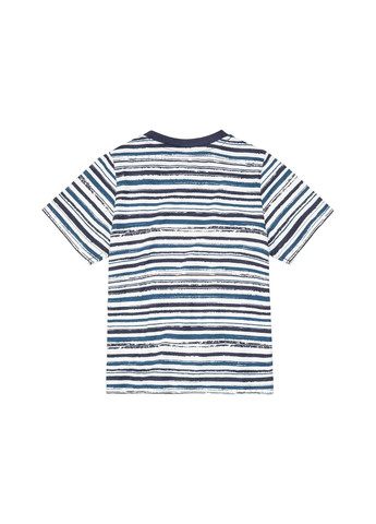 Комбинированная демисезонная футболка хлопковая для мальчика 372241 Lupilu