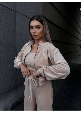 Трендовый велюровый костюм двойка No Brand (363969612)