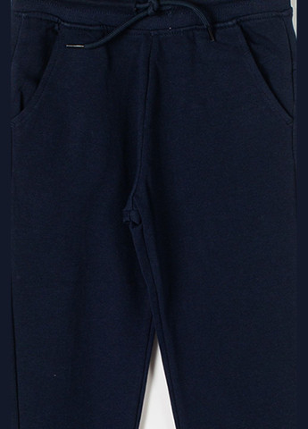 Темно-синие спортивные, повседневный, кэжуал демисезонные джоггеры брюки Lupilu