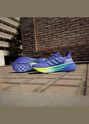 Кросівки ULTRABOOST 5 adidas сливові (350883104)