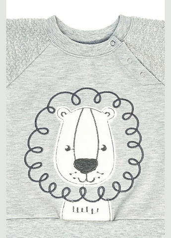 Сірий демісезонний костюмчик для хлопчика з вишивкою левенятко сірий Україна