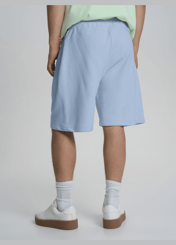 Шорти чоловічі щільні великих розмірів сіро-блакитного кольору ТМ РОЗА Роза (326584862)