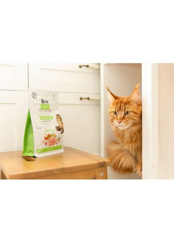Сухий корм Cat GF Senior Weight Control для котів похилого віку з надмірною вагою, курка, 400 г Brit Care (322874495)