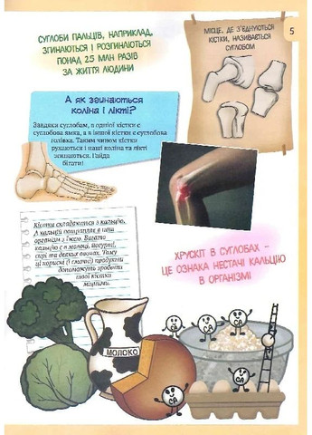 3D Книга "Тело человека" с дополненной реальностью FastAR Kids (370057126)