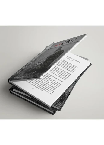 Книга "Не брат". Автор - Евгеній Заяць Кавун Книга (401914871)
