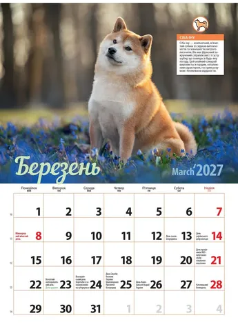 Календар 2027 Породи собак (Breeds of Dogs) із серії Світовид Видавництво «Діана плюс» (411054089)