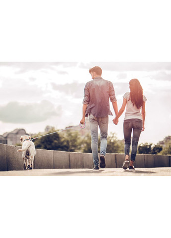 Повідець-рулетка для собак R-leash Кругла XS-M до 40 кг 29 м світловідбивна стрічка Рожевий WAUDOG (364751559)