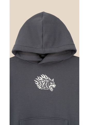 Худи с принтом для мальчика P-BB02325 158 см Графитовый shop (2888000026422) LAWA (368831148)