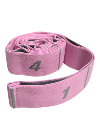 Эластичный ленточный эспандер сегментированный с 9 петлями WXF9 Розовый SNS (315492767)