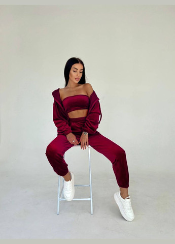 Костюм трійка велюровий Україна (316519700)