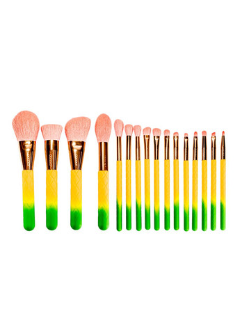 Набір пензлів для макіяжу Pineapple (16шт) DO-P1610 DOCOLOR (367986542)