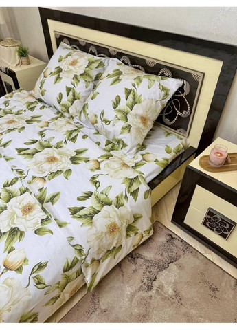 Постельное белье хлопковое Катальпа Евро 200 x 220 Бязь Белое 50 х 70 No Brand (362414447)