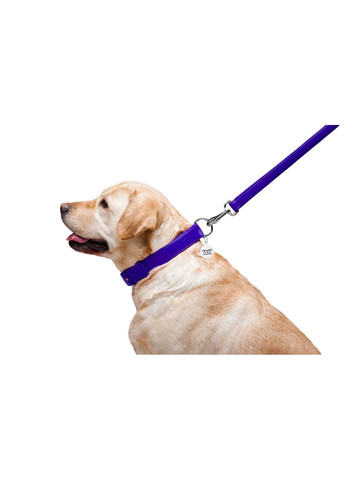 Поводок для собак кожаный Glamour, Ш 25 мм, Дл 122 см фиолетовый WAUDOG (322237300)