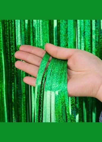 Дождик для фотозоны с голограммой украшение 245 см на 92 см зеленый Jannet Дощик (316580348)