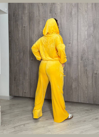 Велюровый женский костюм Osoblyva (322980424)